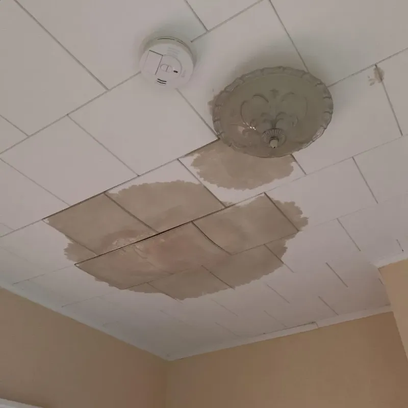 Ceiling Water Damage Repair in Marshfield Hills, MA